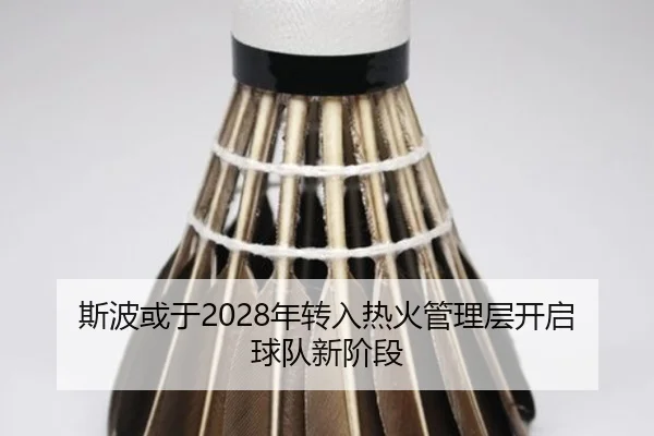 斯波或于2028年转入热火管理层开启球队新阶段